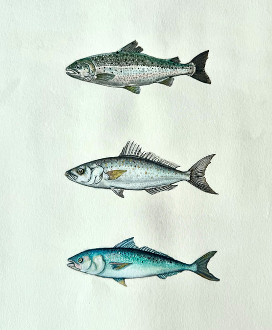 All the Salmon